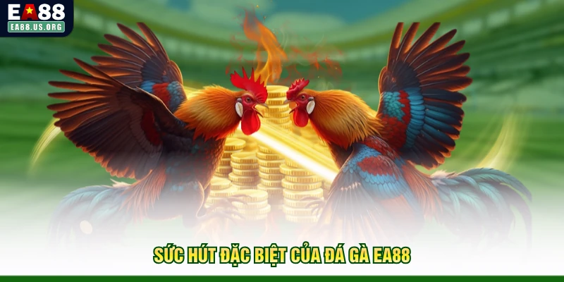 Sức hút đặc biệt của đá gà EA88